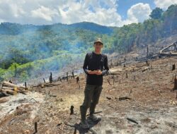 Program Ketahanan Pangan: Pemerintah Kecamatan Asera Siapkan 2 Hektare Lahan Siap Tanam